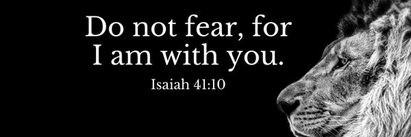 kingzoex Profile Banner