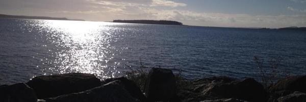 AprilCHEK Profile Banner