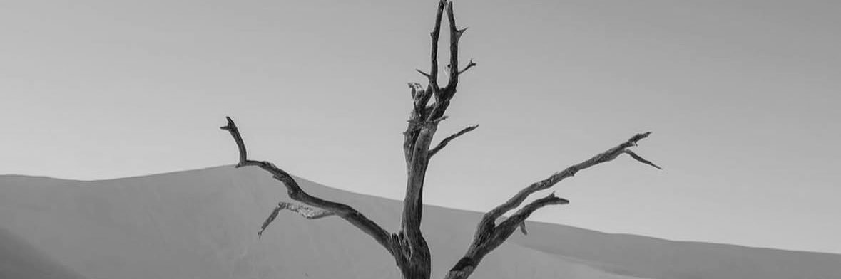 anggunspty's profile banner image