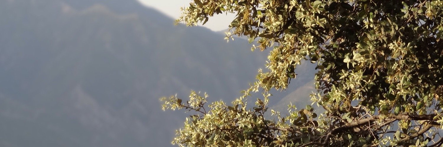 salim23d's profile banner image