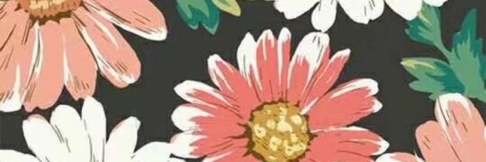shellamrcella's profile banner image