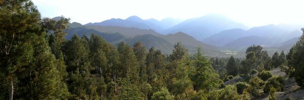 zamirsaar Profile Banner