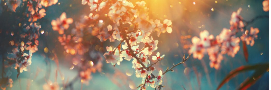 vale1479's profile banner image