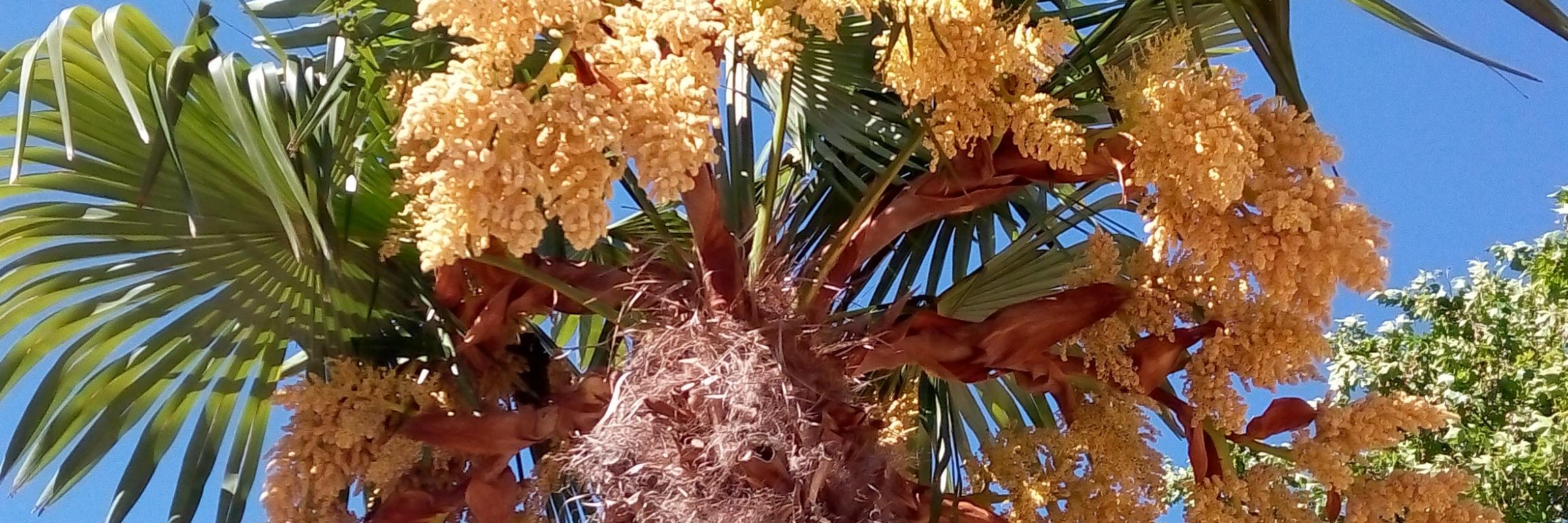 JosACullar's profile banner image