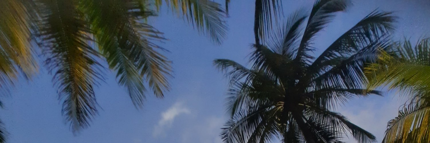 ryanidesi's profile banner image