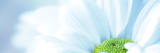 alnafi3's profile banner image