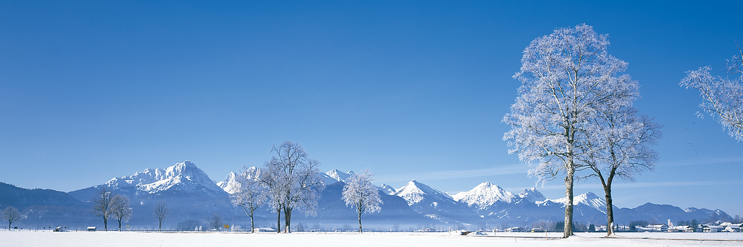 snowfall_2015's profile banner image