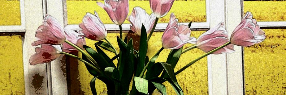 Blanca Landázuri 🍉 banner