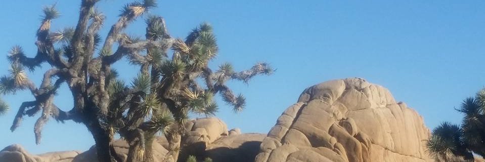 JMepp77's profile banner image
