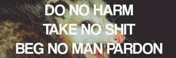 MrDespondency Profile Banner