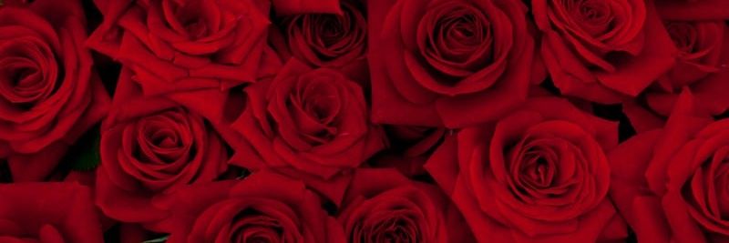 cherrymina2's profile banner image