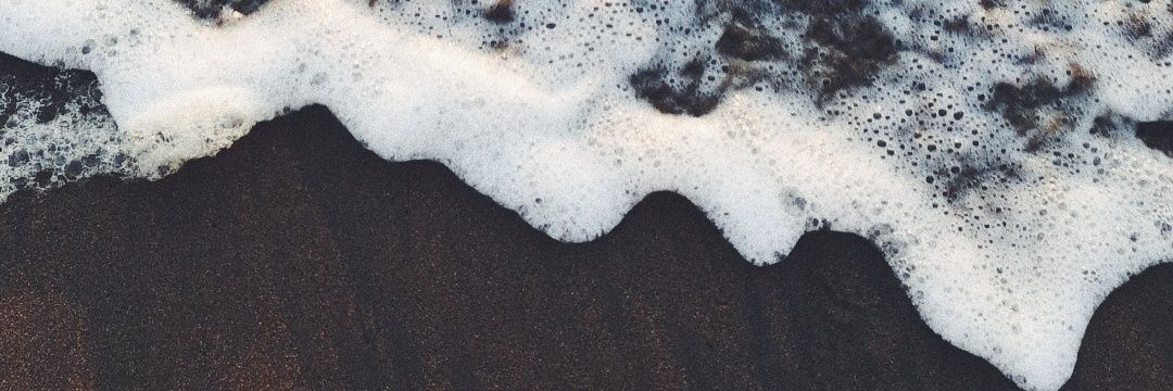 sfirdousmt's profile banner image