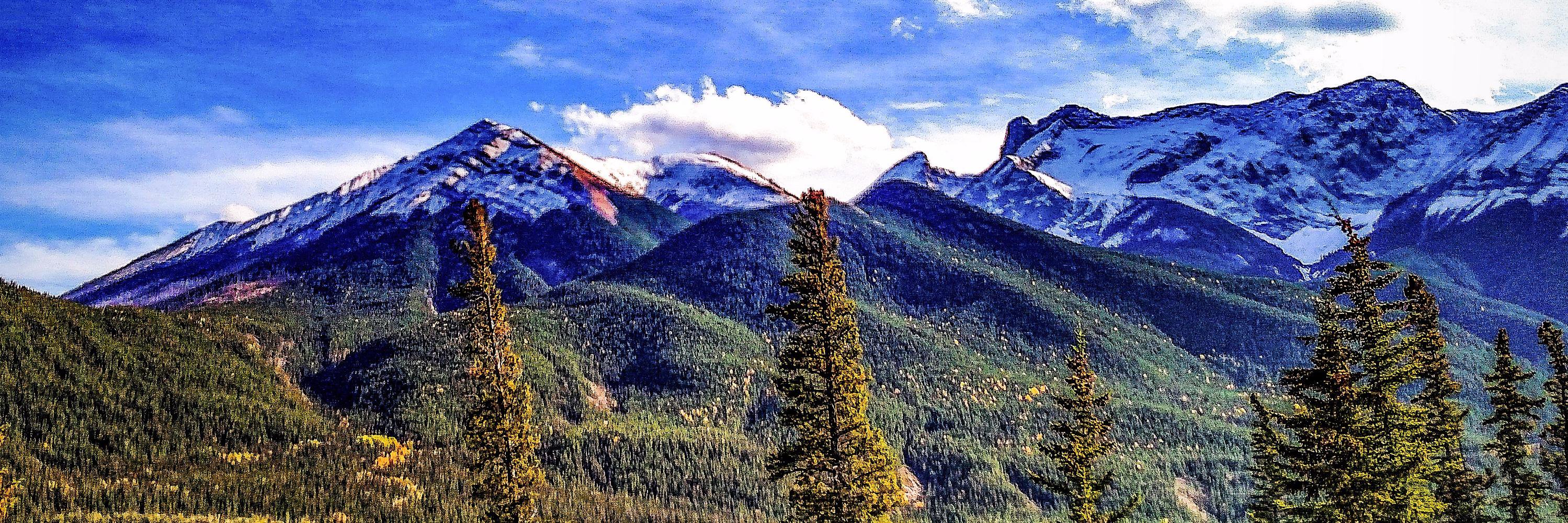 ruggedmeats's profile banner image