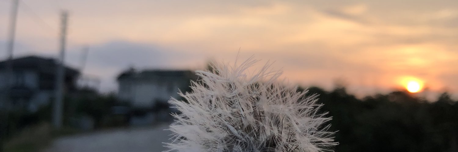 gi_twit's profile banner image