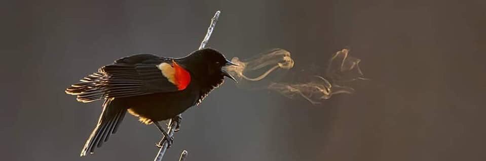 mohammed_aljbor's profile banner image