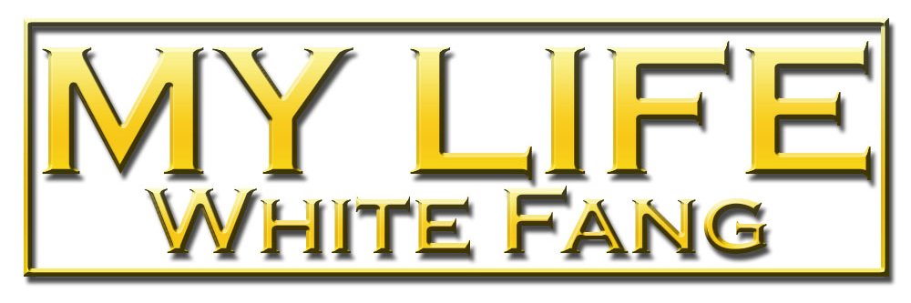 WhiteFizzle's profile banner image
