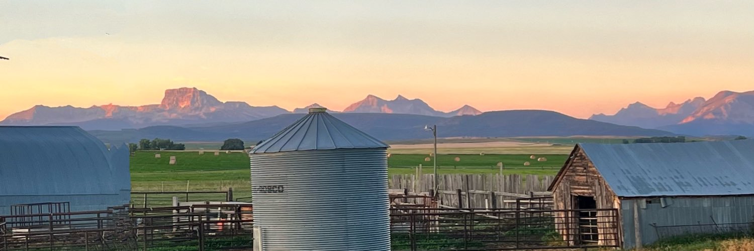 SydneySpidell's profile banner image