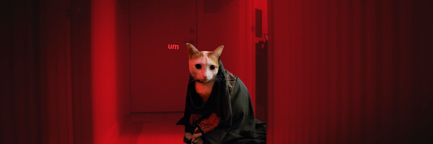 bommaboy's profile banner image