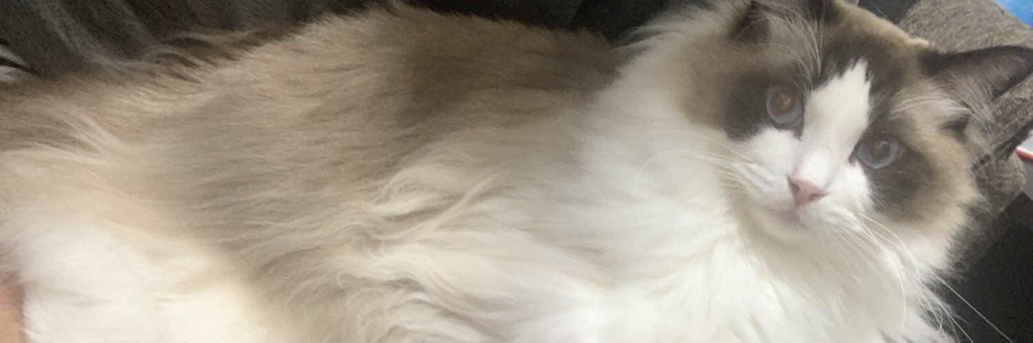 ooooooo_daisuki's profile banner image