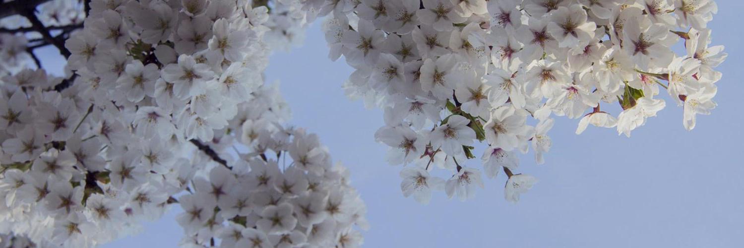 RobinvdBroek's profile banner image