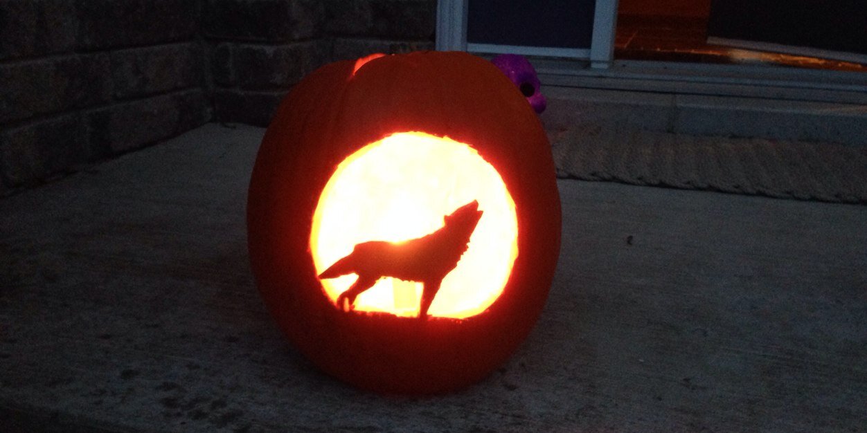 Andrew Gillies banner