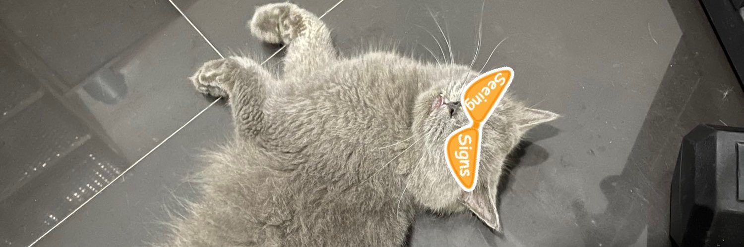 thegrayfur's profile banner image