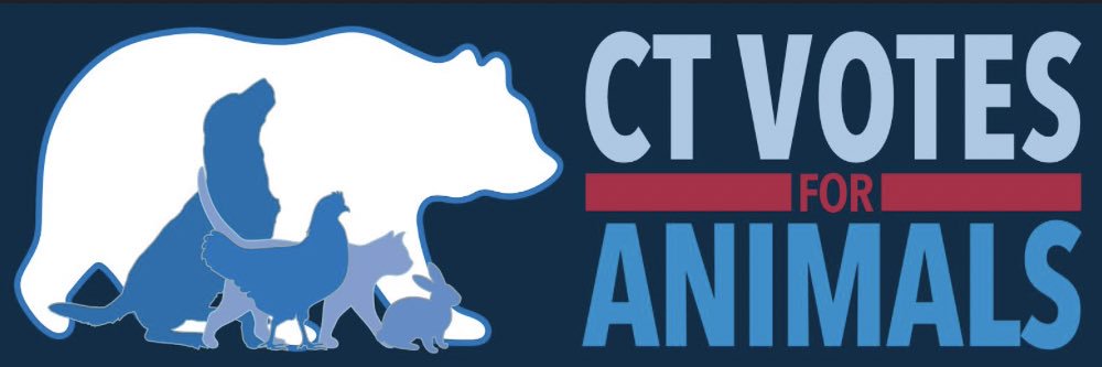 CT Votes For Animals banner