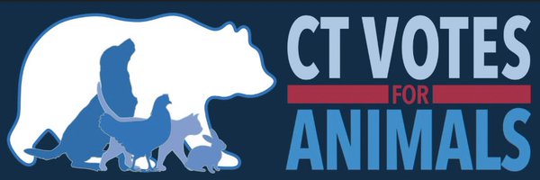 CVFA Profile Banner