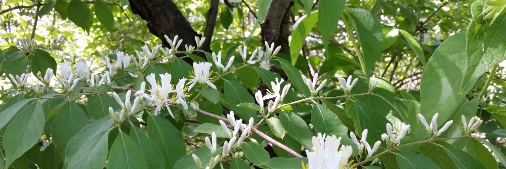 kdtoonen's profile banner image