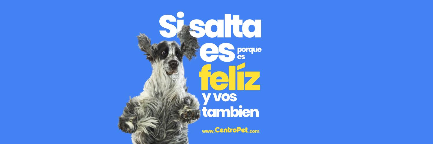 CentroPet's profile banner image