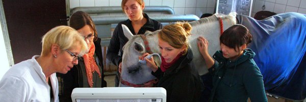 VetPD Profile Banner