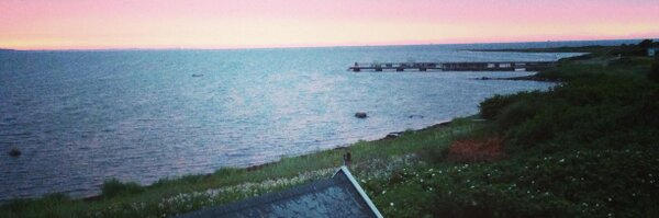 Oster_Anna Profile Banner