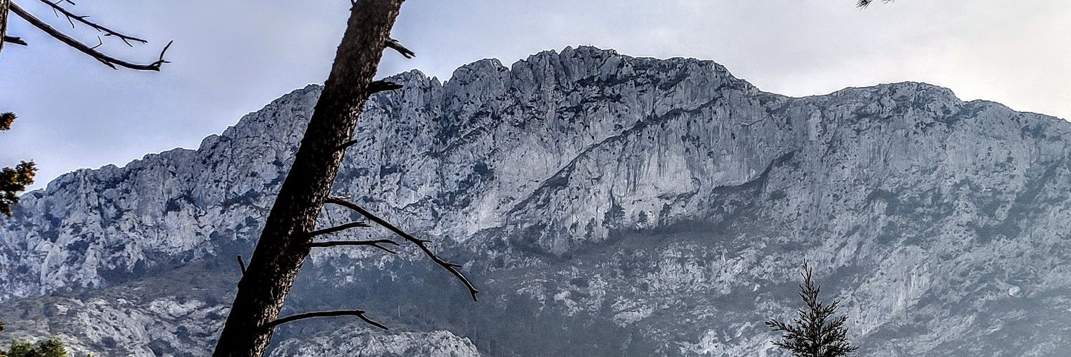 15Belda's profile banner image