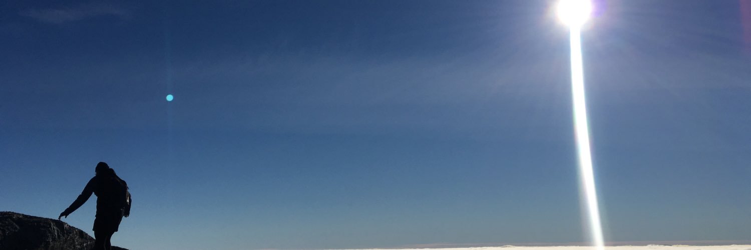 David Lillieström banner