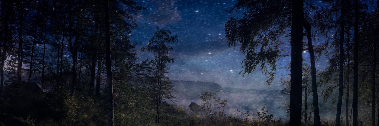 peppihei's profile banner image