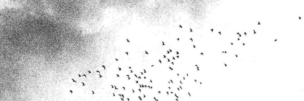nn_33's profile banner image