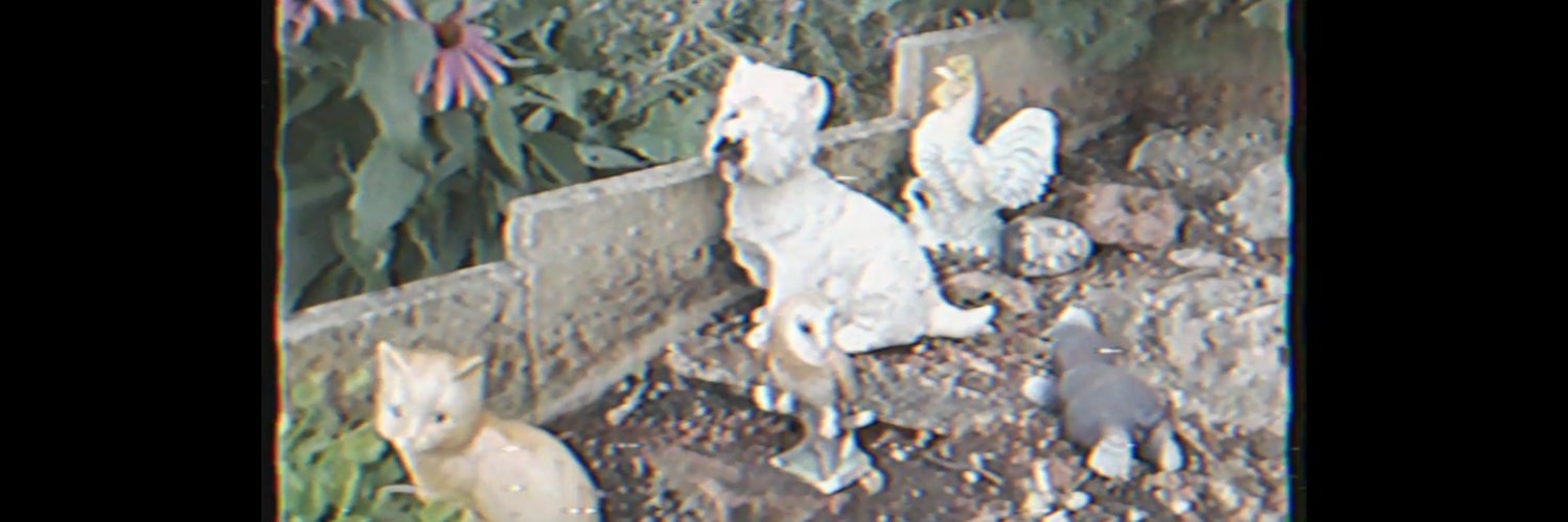 jdglee's profile banner image