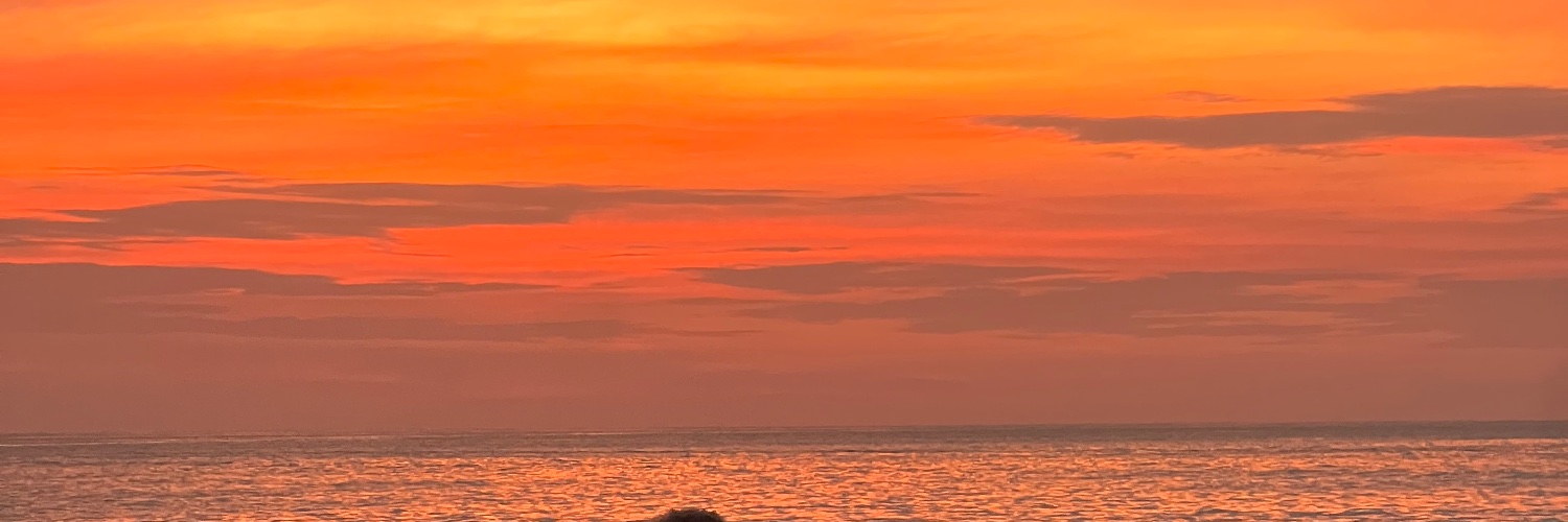 MayRofl's profile banner image