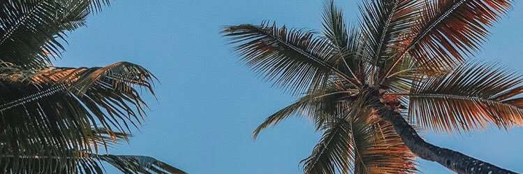 marilulpp's profile banner image