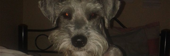 LegoFer6's profile banner image