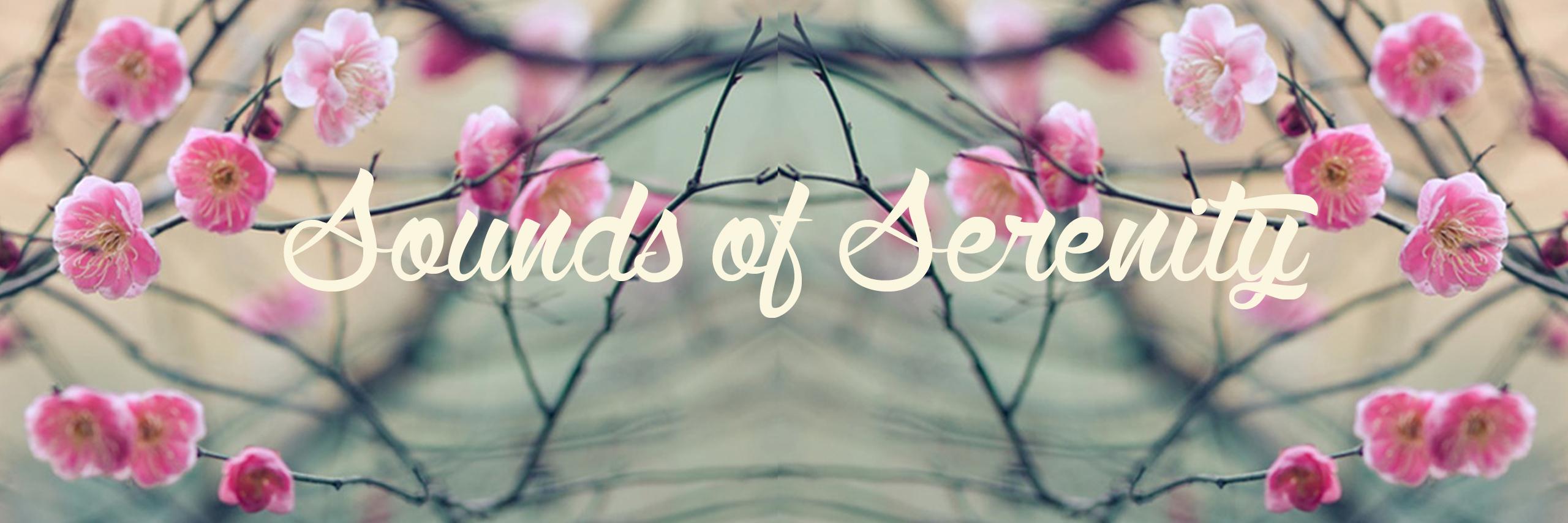 SOS_Musique's profile banner image