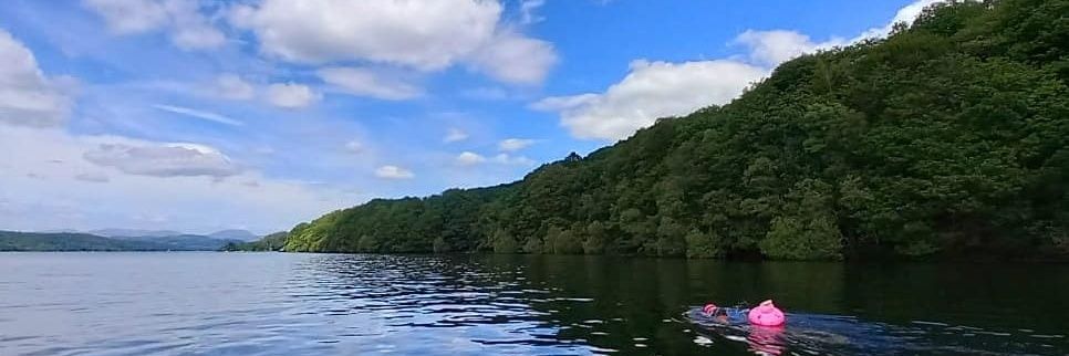 Wayne Singleton banner