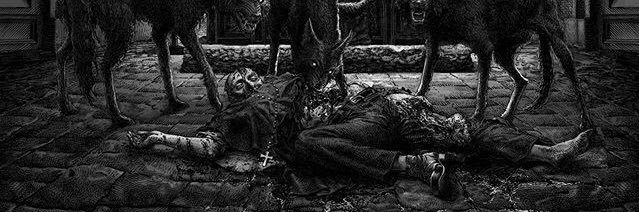 catalagartha's profile banner image