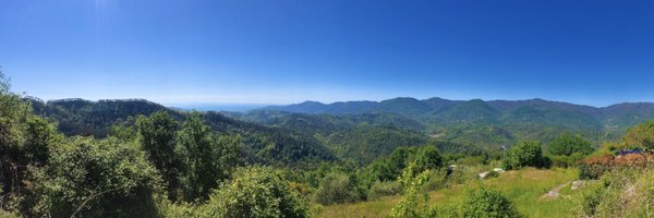 LorisFigoli Profile Banner