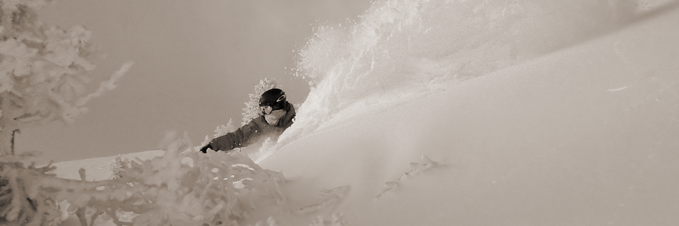 freshies.ch banner