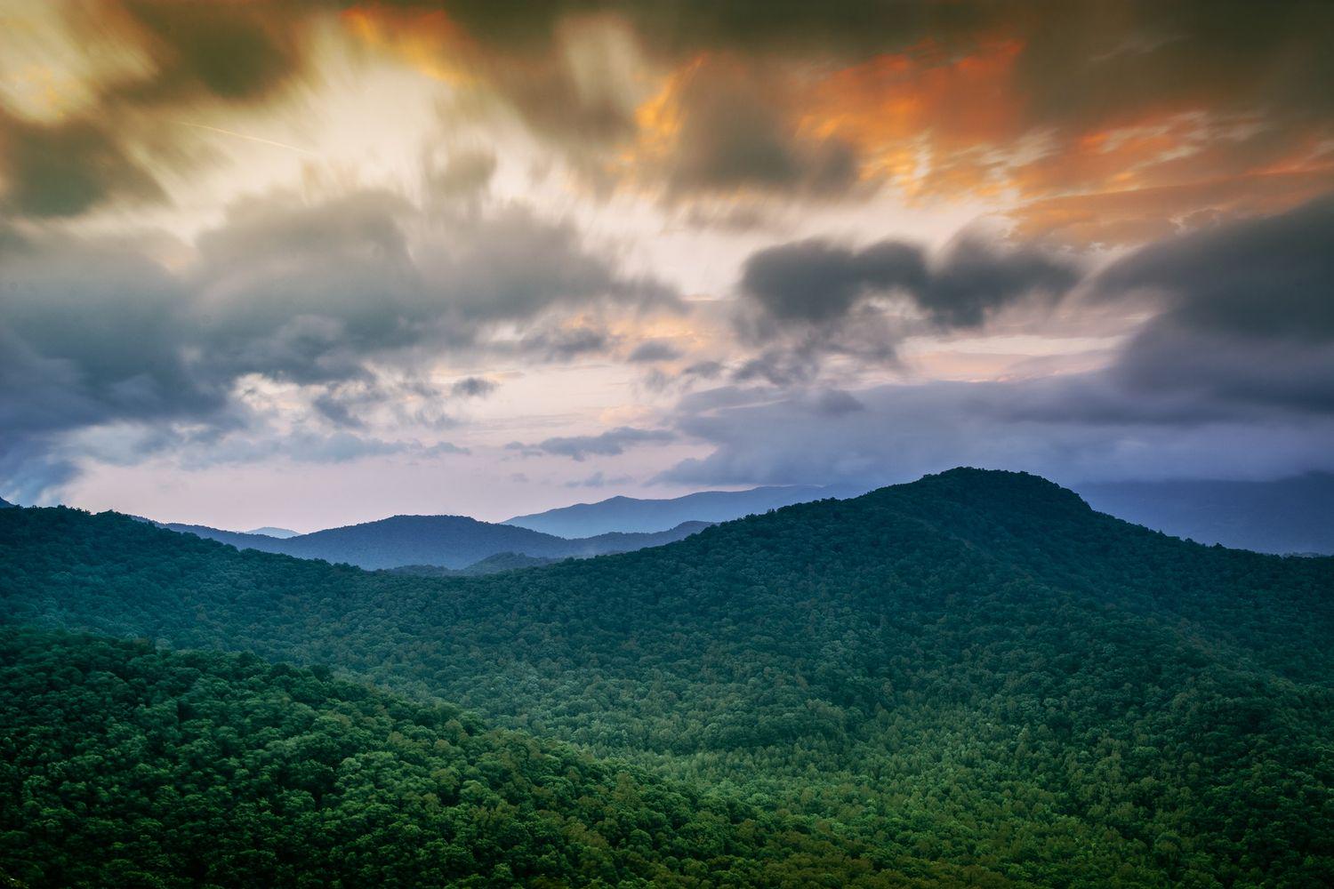LevettPhilip's profile banner image