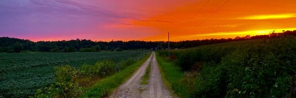 Karen Mellott-Foshier banner