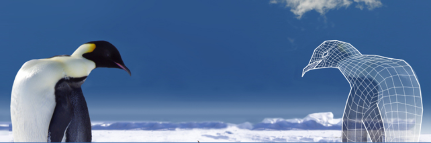 GraphLand's profile banner image