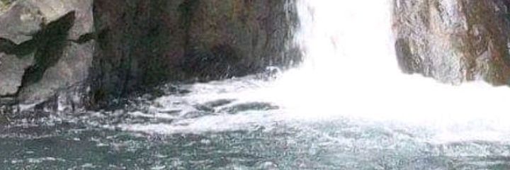 danielparada19's profile banner image