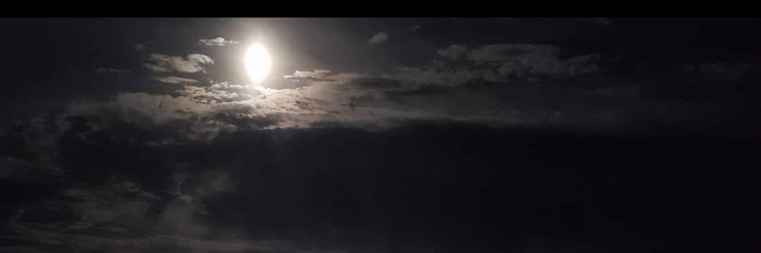 RichHunt8's profile banner image